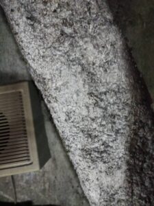 内装解体 スケルトン工事 原状回復 福岡 九州 費用